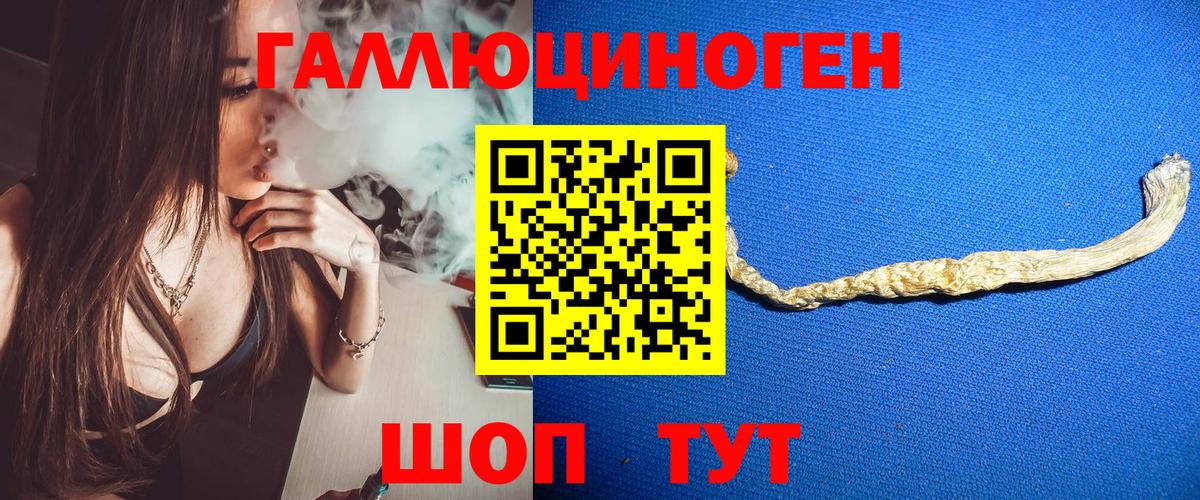 Кушва  Галлюциногенные грибы MAGIC MUSHROOMS  Вход с VPN 
